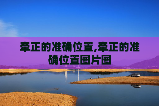 牵正的准确位置,牵正的准确位置图片图