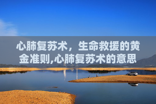 心肺复苏术，生命救援的黄金准则,心肺复苏术的意思