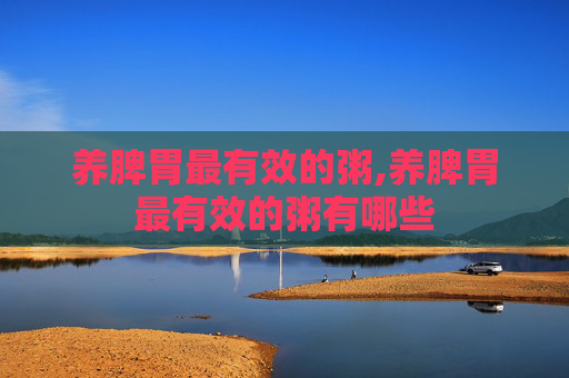 养脾胃最有效的粥,养脾胃最有效的粥有哪些