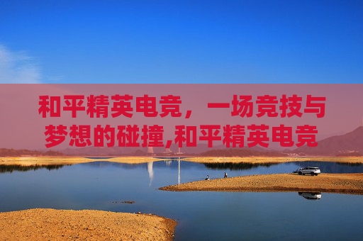 和平精英电竞，一场竞技与梦想的碰撞,和平精英电竞赚钱吗