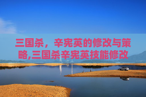 三国杀，辛宪英的修改与策略,三国杀辛宪英技能修改