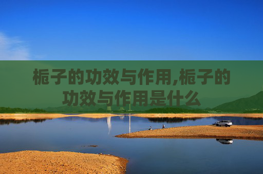 栀子的功效与作用,栀子的功效与作用是什么