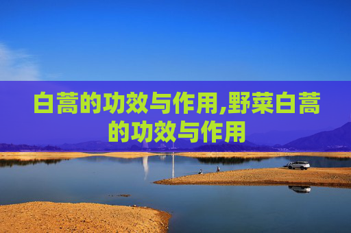 白蒿的功效与作用,野菜白蒿的功效与作用