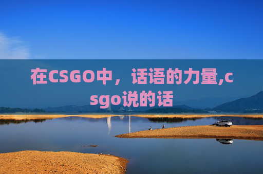 在CSGO中，话语的力量,csgo说的话