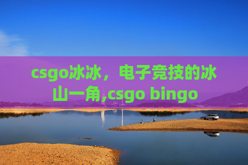 csgo冰冰，电子竞技的冰山一角,csgo bingo