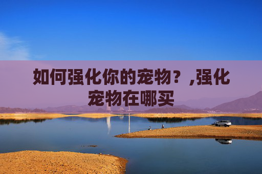 如何强化你的宠物？,强化宠物在哪买