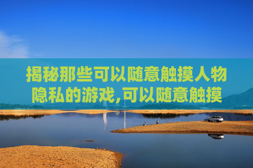 揭秘那些可以随意触摸人物隐私的游戏,可以随意触摸人物隐私的单机游戏