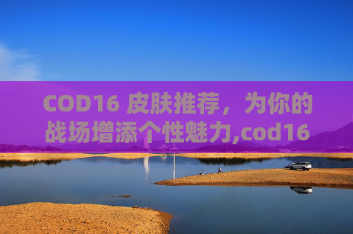 COD16 皮肤推荐，为你的战场增添个性魅力,cod16哪个皮肤好看