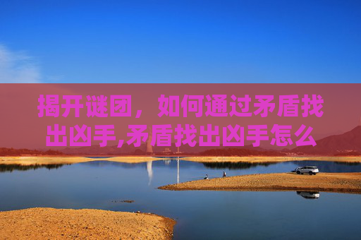 揭开谜团，如何通过矛盾找出凶手,矛盾找出凶手怎么下载软件