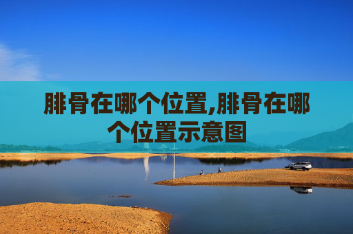 腓骨在哪个位置,腓骨在哪个位置示意图