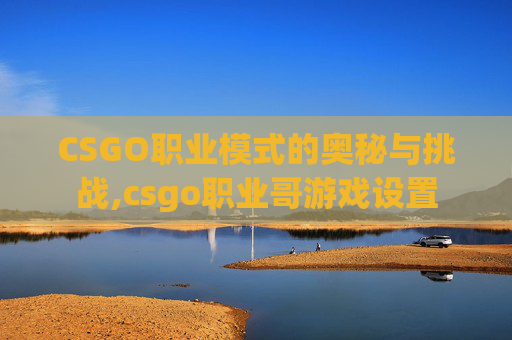 CSGO职业模式的奥秘与挑战,csgo职业哥游戏设置