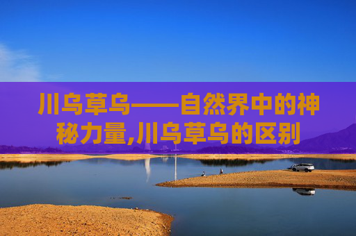 川乌草乌——自然界中的神秘力量,川乌草乌的区别