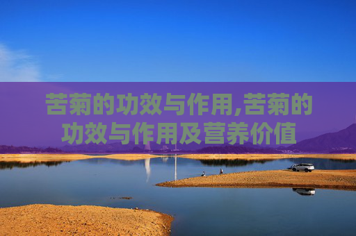 苦菊的功效与作用,苦菊的功效与作用及营养价值