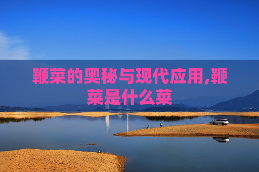鞭菜的奥秘与现代应用,鞭菜是什么菜