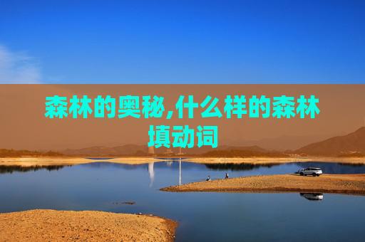 森林的奥秘,什么样的森林填动词