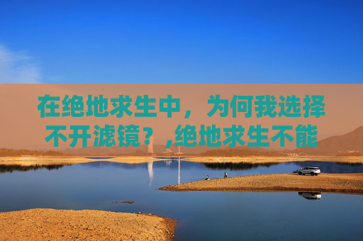 在绝地求生中，为何我选择不开滤镜？,绝地求生不能开滤镜
