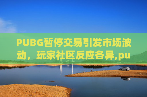 PUBG暂停交易引发市场波动，玩家社区反应各异,pubg解除交易限制