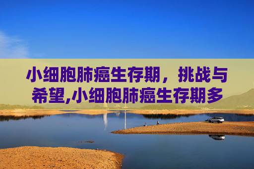 小细胞肺癌生存期,挑战与希望,小细胞肺癌生存期多久 小细胞肺癌生存期,挑战与希望,小细胞肺癌生存期多久
