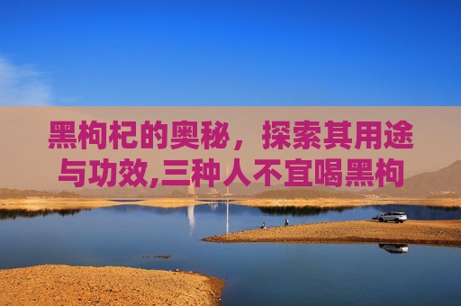 黑枸杞的奥秘，探索其用途与功效,三种人不宜喝黑枸杞