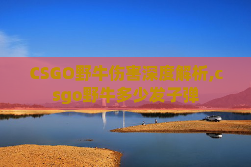 CSGO野牛伤害深度解析,csgo野牛多少发子弹