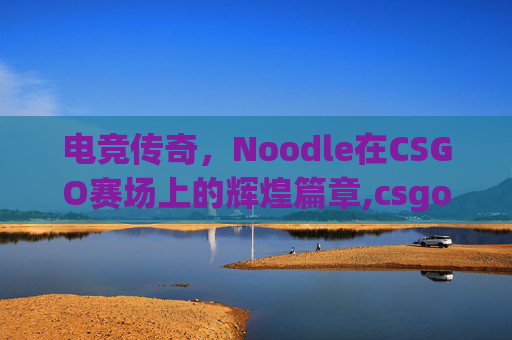 电竞传奇，Noodle在CSGO赛场上的辉煌篇章,csgo选手niko百度百科