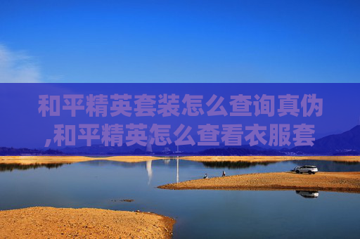 和平精英套装怎么查询真伪,和平精英怎么查看衣服套数