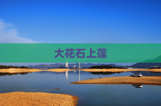 大花石上莲