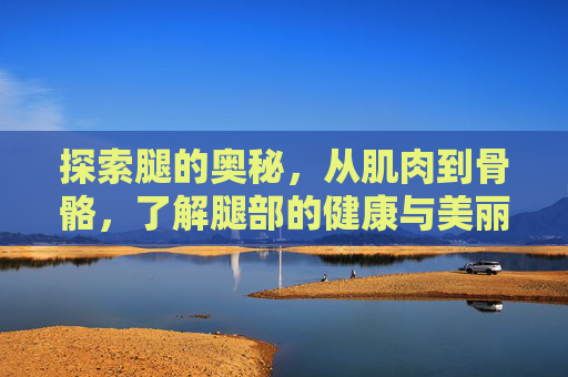 探索腿的奥秘，从肌肉到骨骼，了解腿部的健康与美丽,腿腿羽毛球个人资料简介