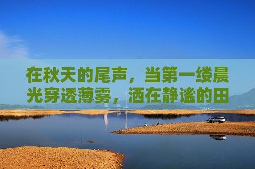 在秋天的尾声，当第一缕晨光穿透薄雾，洒在静谧的田野上，万物似乎都在为即将到来的冬天做着准备。在这金色的季节里，有一种独特的气息悄然弥漫，那就是体露金风。,体露金风 无处可逃