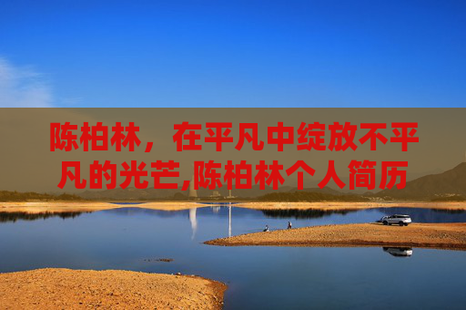 陈柏林，在平凡中绽放不平凡的光芒,陈柏林个人简历