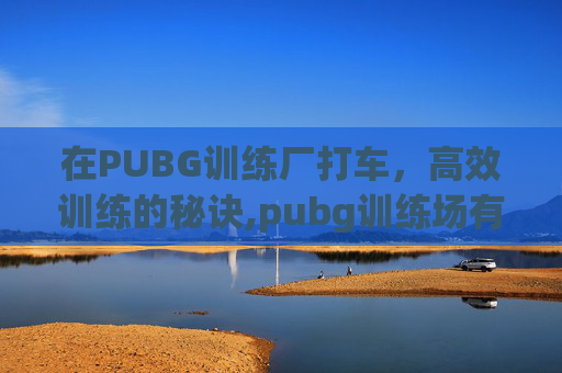 在PUBG训练厂打车，高效训练的秘诀,pubg训练场有车吗