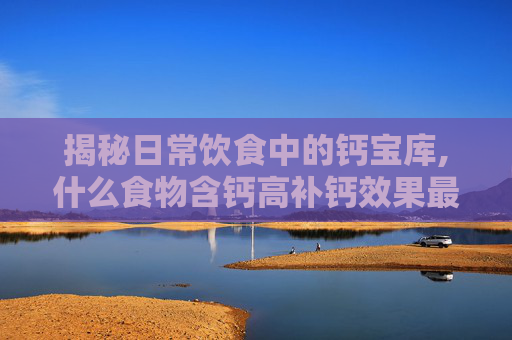 揭秘日常饮食中的钙宝库,什么食物含钙高补钙效果最好