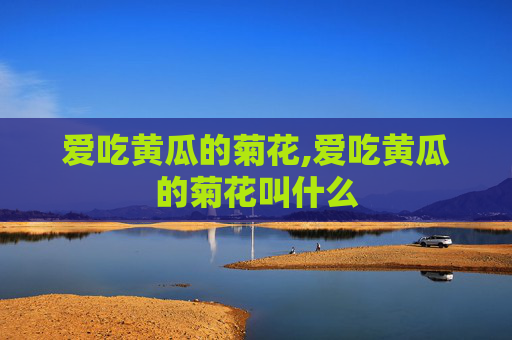 爱吃黄瓜的菊花,爱吃黄瓜的菊花叫什么