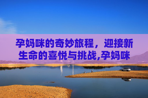 孕妈咪的奇妙旅程，迎接新生命的喜悦与挑战,孕妈咪ER急救医生医院游戏
