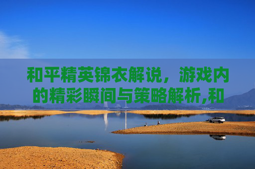 和平精英锦衣解说，游戏内的精彩瞬间与策略解析,和平精英锦衣解说全集