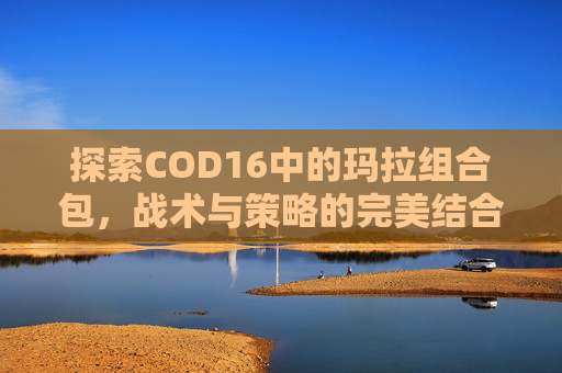 探索COD16中的玛拉组合包，战术与策略的完美结合,cod16玛拉组合包