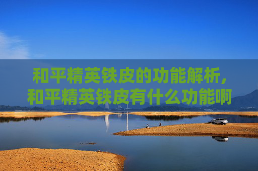 和平精英铁皮的功能解析,和平精英铁皮有什么功能啊
