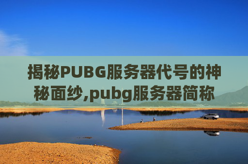 揭秘PUBG服务器代号的神秘面纱,pubg服务器简称