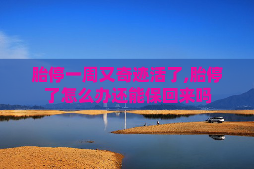 胎停一周又奇迹活了,胎停了怎么办还能保回来吗