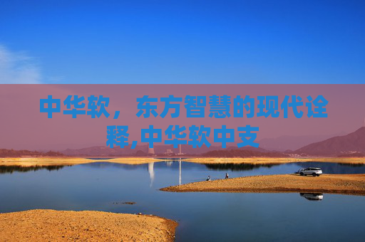 中华软，东方智慧的现代诠释,中华软中支