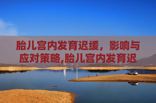 胎儿宫内发育迟缓，影响与应对策略,胎儿宫内发育迟缓出生后后果
