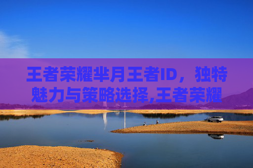 王者荣耀芈月王者ID，独特魅力与策略选择,王者荣耀芈月的id