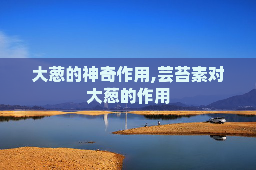 大葱的神奇作用,芸苔素对大葱的作用