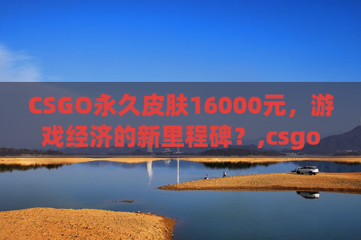 CSGO永久皮肤16000元，游戏经济的新里程碑？,csgoaw永久多少钱
