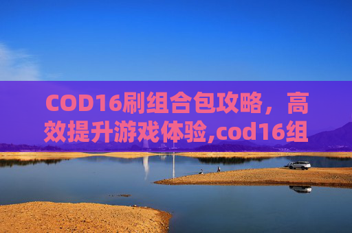 COD16刷组合包攻略，高效提升游戏体验,cod16组合包代码大全