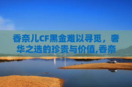 香奈儿CF黑金难以寻觅，奢华之选的珍贵与价值,香奈儿cf黑金中号正品鉴别