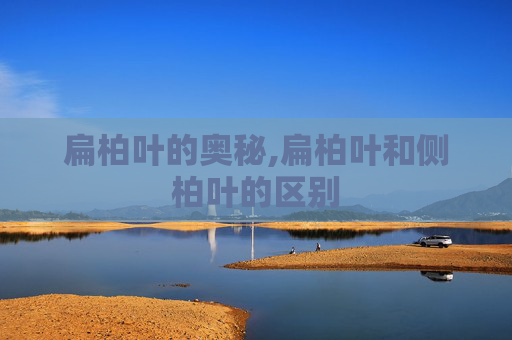 扁柏叶的奥秘,扁柏叶和侧柏叶的区别