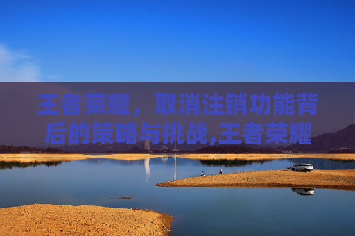王者荣耀，取消注销功能背后的策略与挑战,王者荣耀取消注销怎么弄