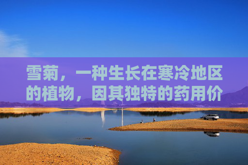 雪菊，一种生长在寒冷地区的植物，因其独特的药用价值而受到人们的广泛关注。它不仅是一种美丽的观赏植物，更具有丰富的药用功效与作用。接下来，我们将深入探讨雪菊的功效与作用，以期为读者提供更全面的认识。,雪菊的功效与作用禁忌