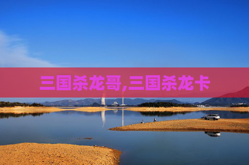 三国杀龙哥,三国杀龙卡